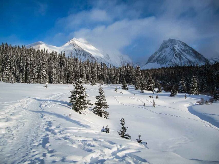 12 Easy Kananaskis Snowshoe Trails Travel Banff Canada
