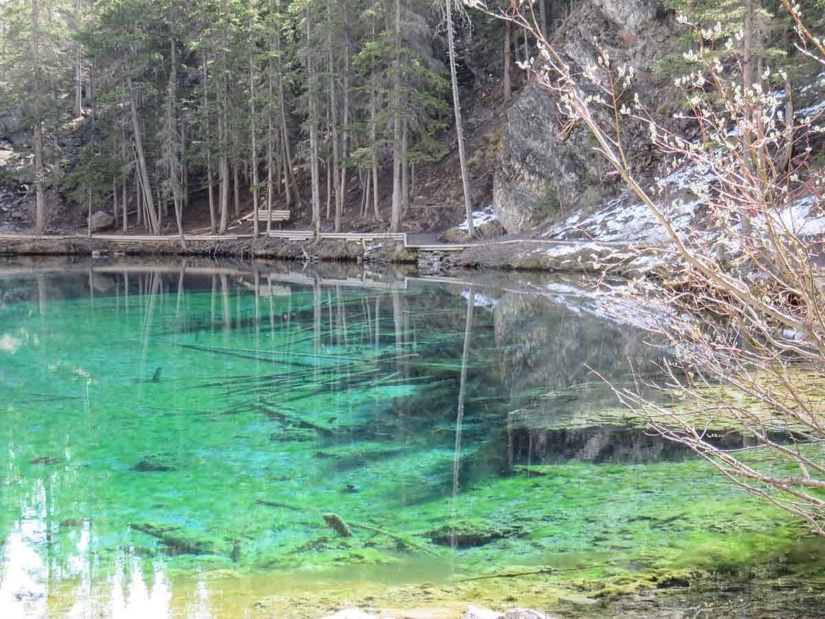 The Grassi Lakes in Canmore have an incredible deep blue-green color