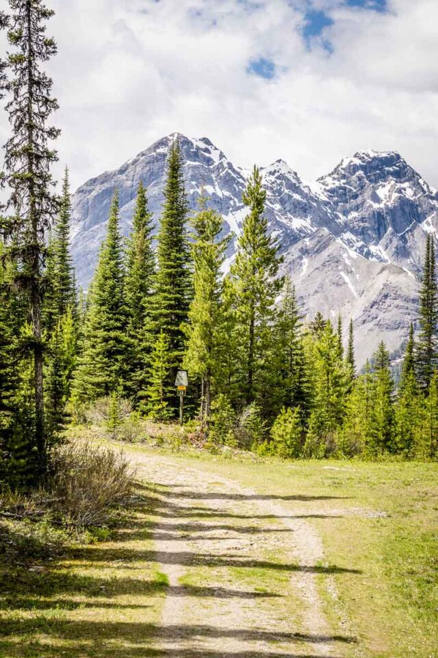 20 Easy Kananaskis Hikes You’ll Love Travel Banff Canada