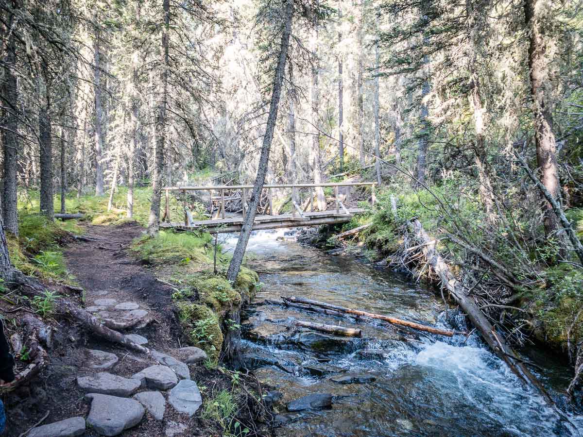 Wind Ridge Wind Ridge Hike in Kananaskis Country - Travel Banff Canada