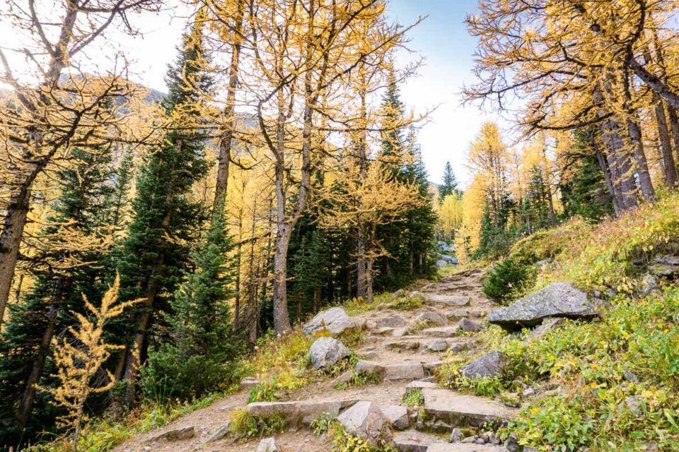 Saddleback Mountain Hike in Banff National Park Travel Banff Canada