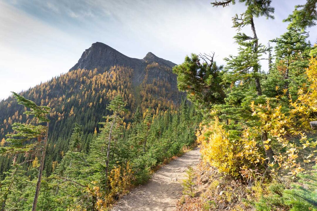 Saddleback Mountain Hike in Banff National Park Travel Banff Canada