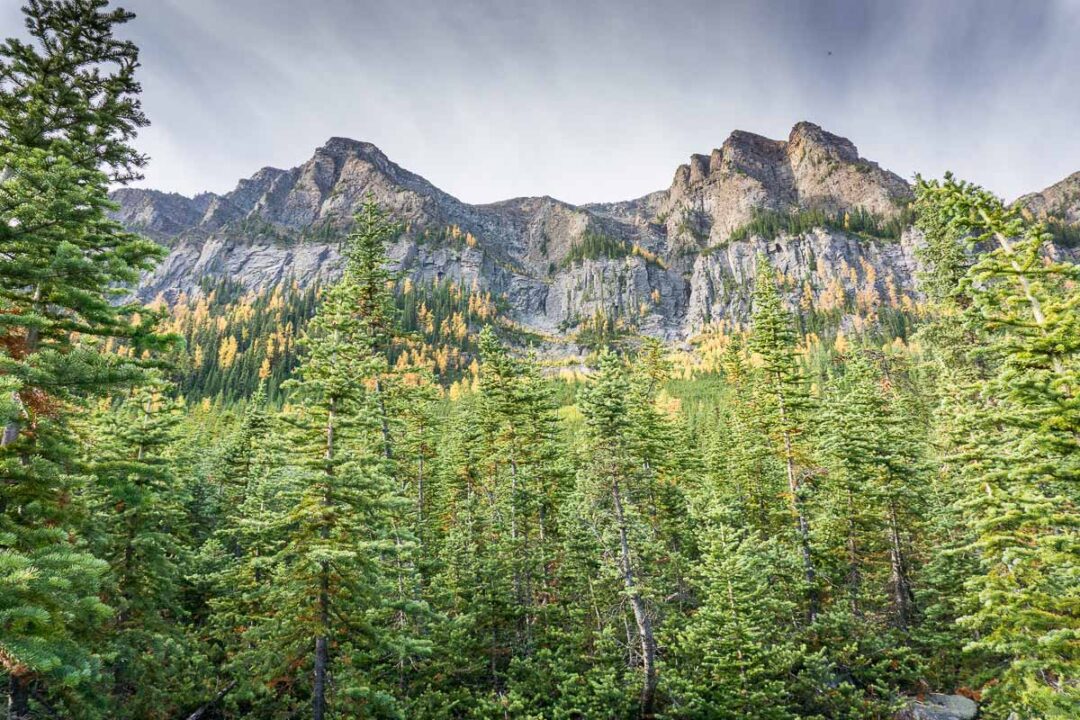 Saddleback Mountain Hike in Banff National Park Travel Banff Canada