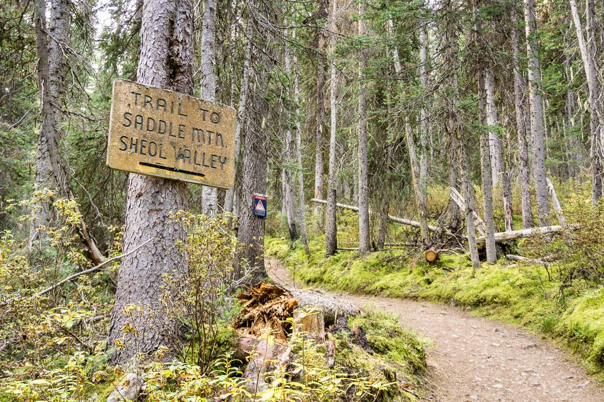 Saddleback Mountain Hike in Banff National Park Travel Banff Canada