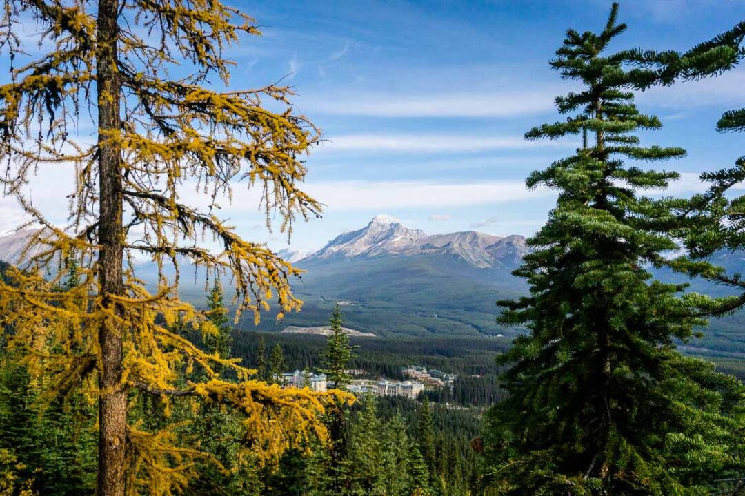 Saddleback Mountain Hike in Banff National Park Travel Banff Canada