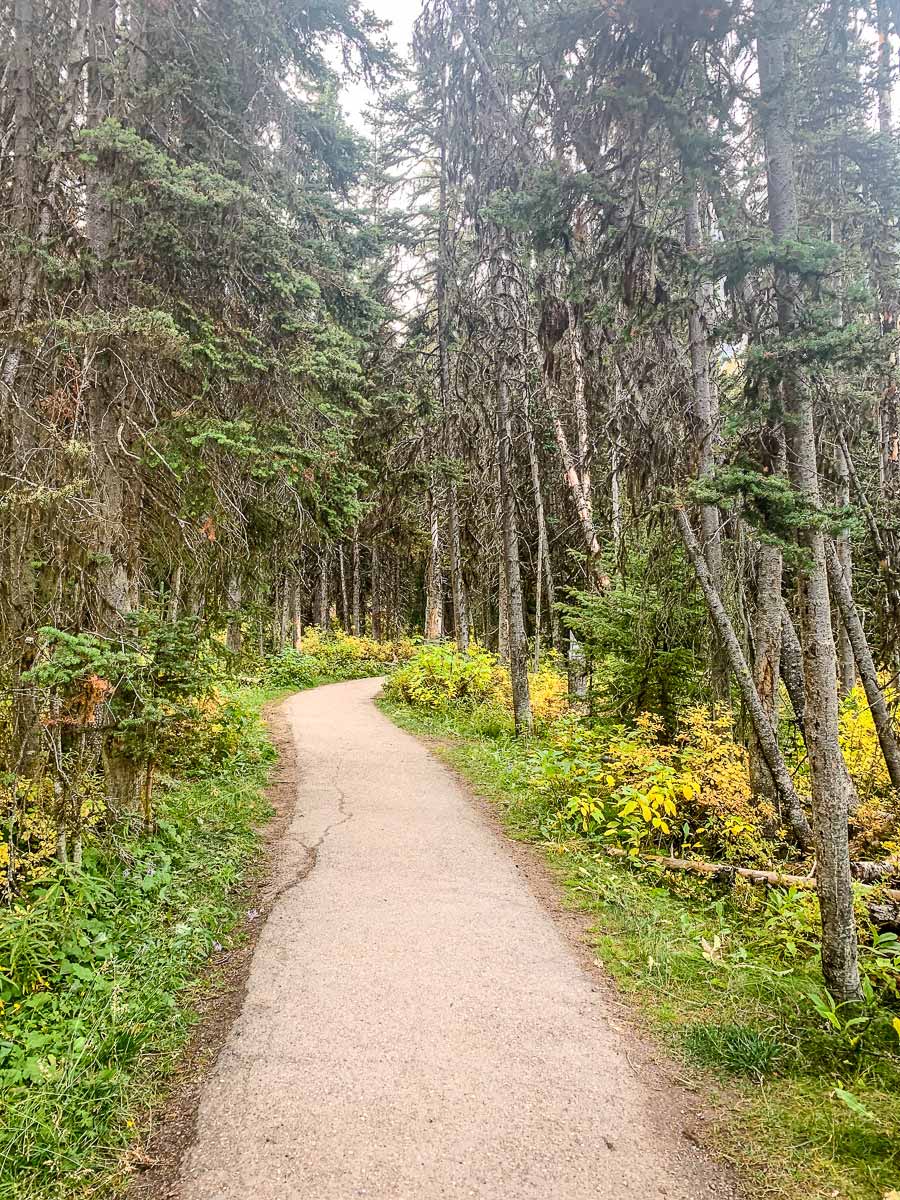 Saddleback Mountain Hike in Banff National Park Travel Banff Canada