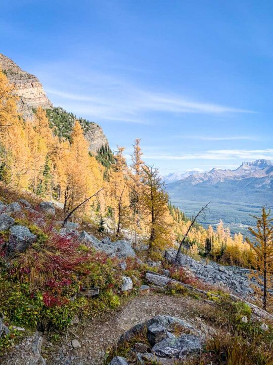 Saddleback Mountain Hike in Banff National Park Travel Banff Canada