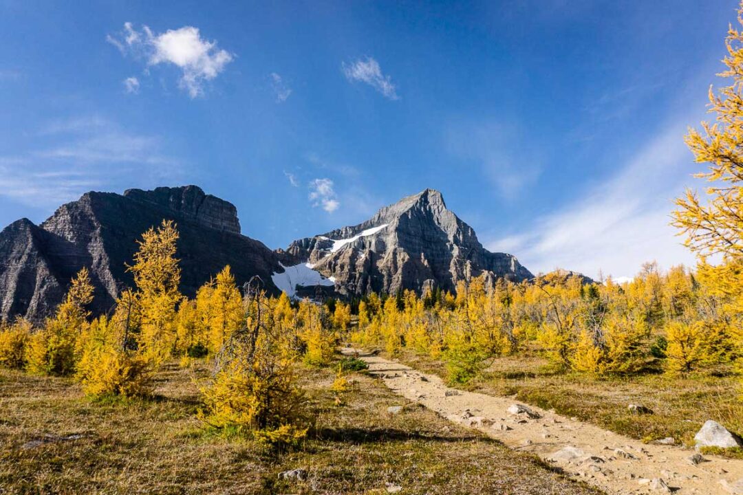 Saddleback Mountain Hike in Banff National Park Travel Banff Canada