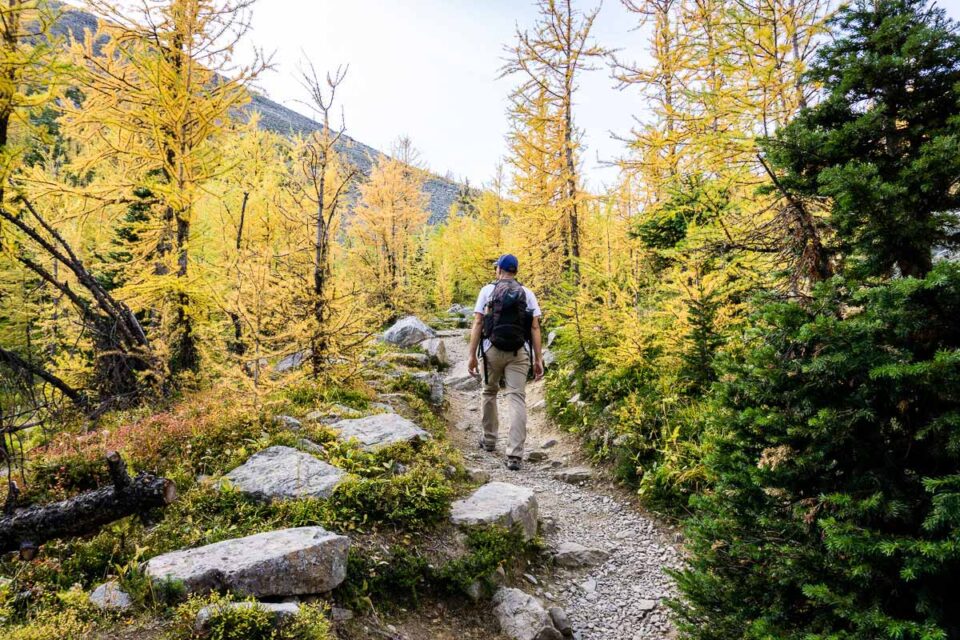 Saddleback Mountain Hike in Banff National Park Travel Banff Canada