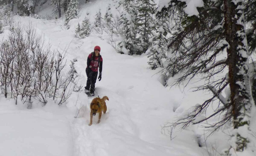 Visiting Banff in December Travel Banff Canada