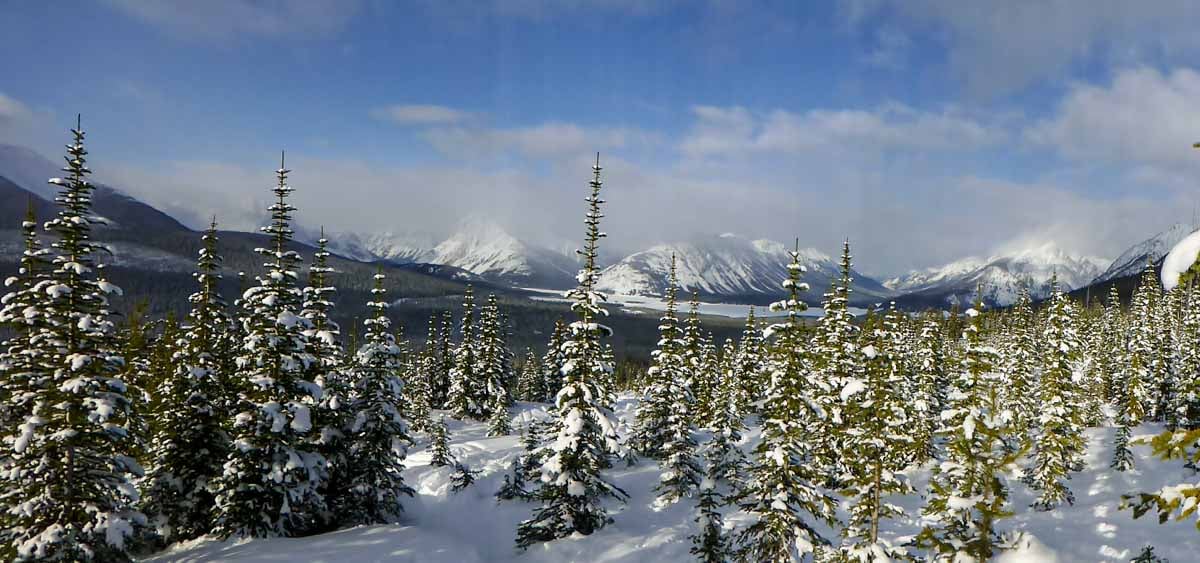 12 Easy Kananaskis Snowshoe Trails Travel Banff Canada