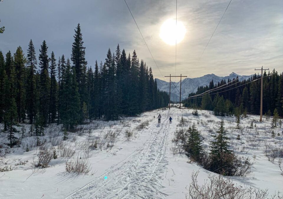 7 Easy CrossCountry Ski Trails in Banff and Area Travel Banff Canada