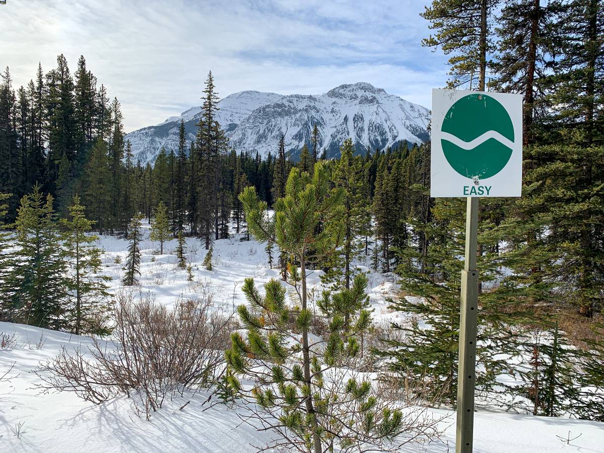 7 Easy CrossCountry Ski Trails in Banff and Area Travel Banff Canada