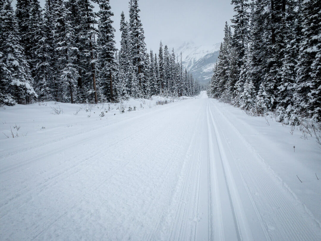 8 Easy CrossCountry Ski Trails in Banff and Area Travel Banff Canada