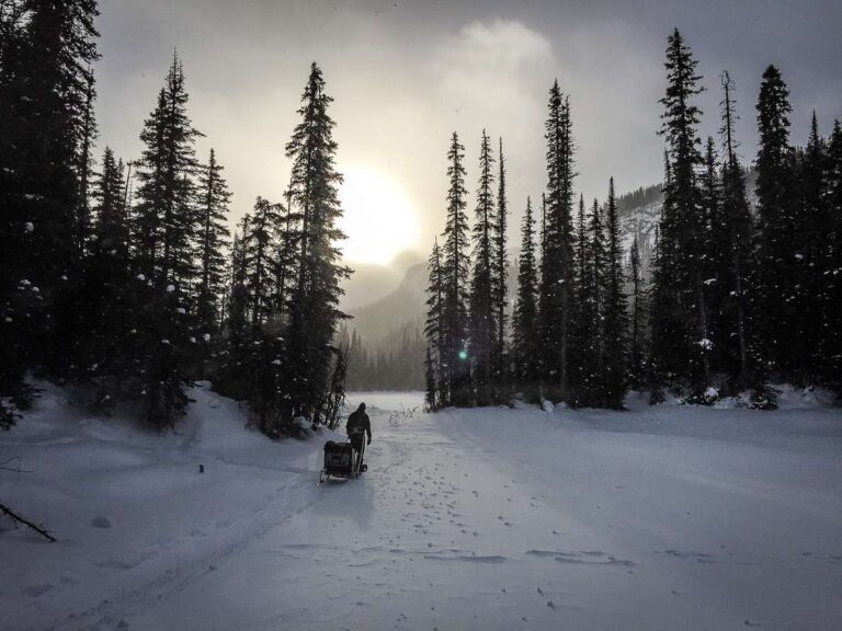 12 Easy Kananaskis Snowshoe Trails Travel Banff Canada