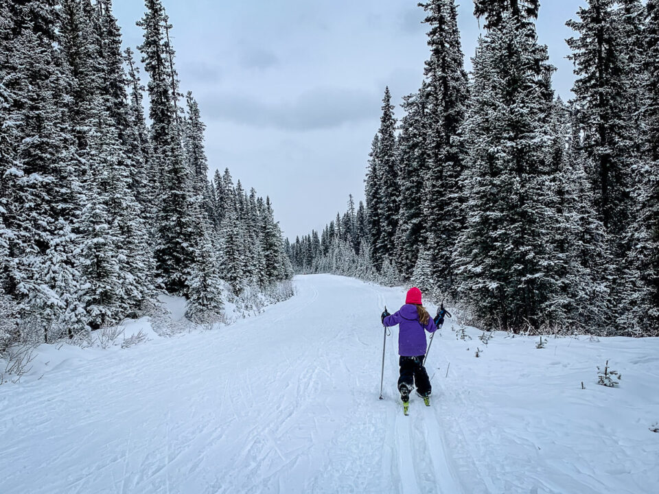 8 Easy CrossCountry Ski Trails in Banff and Area Travel Banff Canada