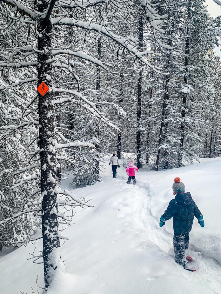 12 Easy Kananaskis Snowshoe Trails Travel Banff Canada