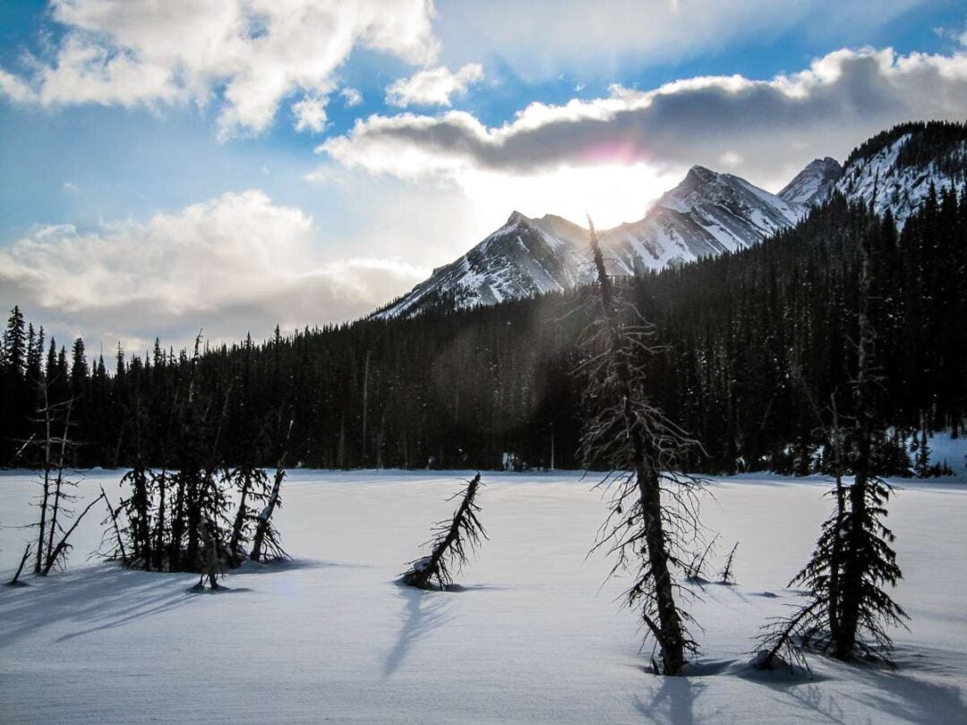 12 Easy Kananaskis Snowshoe Trails Travel Banff Canada