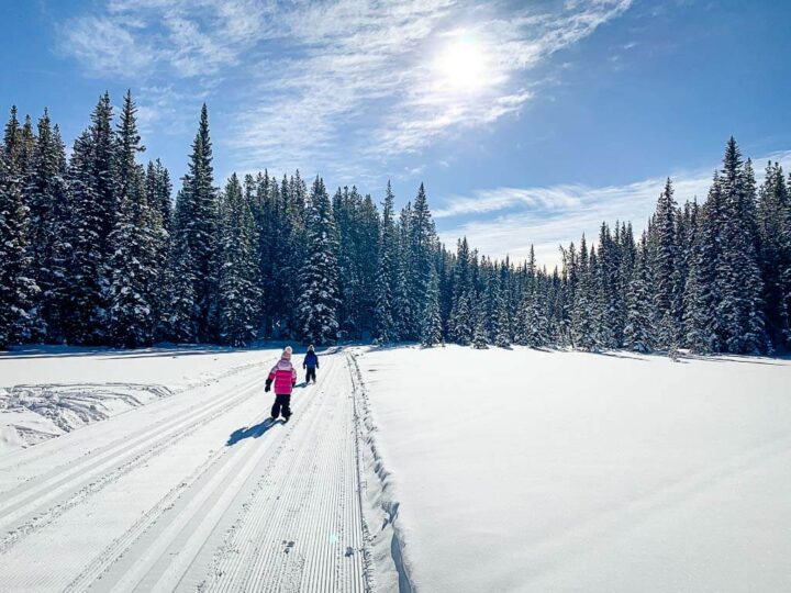 7 Easy CrossCountry Ski Trails in Banff and Area Travel Banff Canada