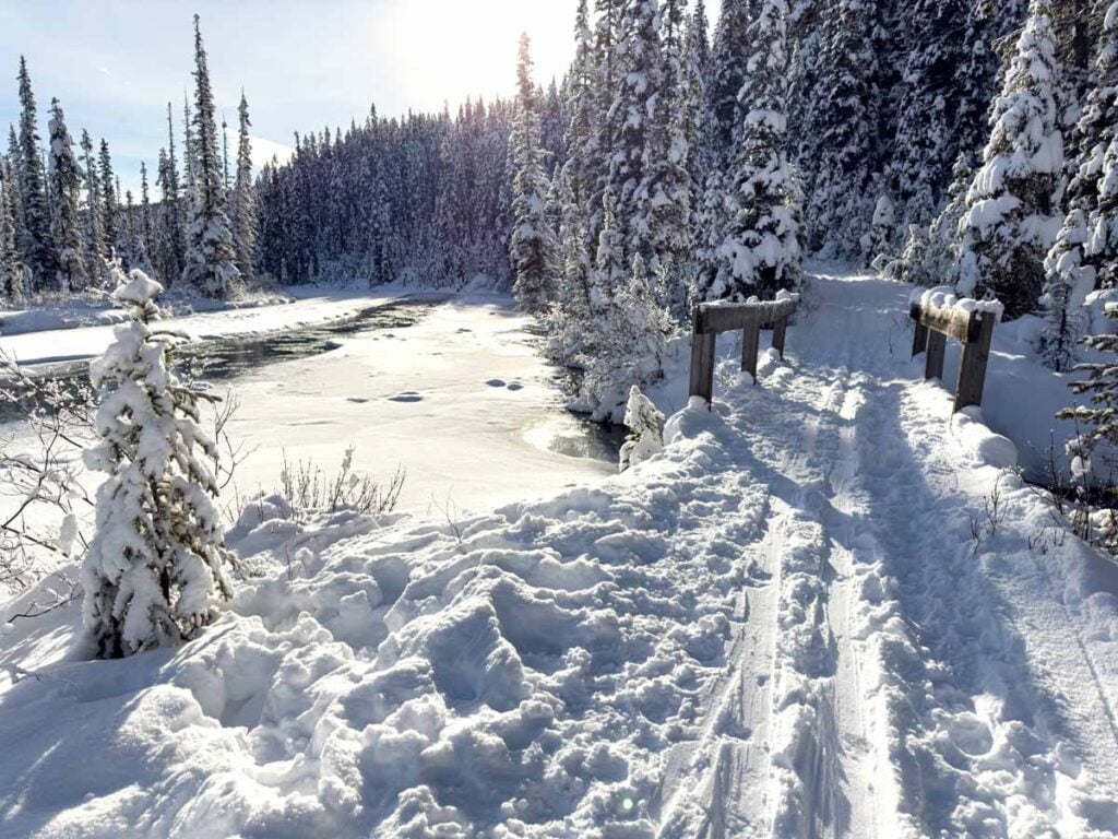 The Bow River flows next to the Bow River extension of the Lake Louise Campground cross country ski trail in Banff.