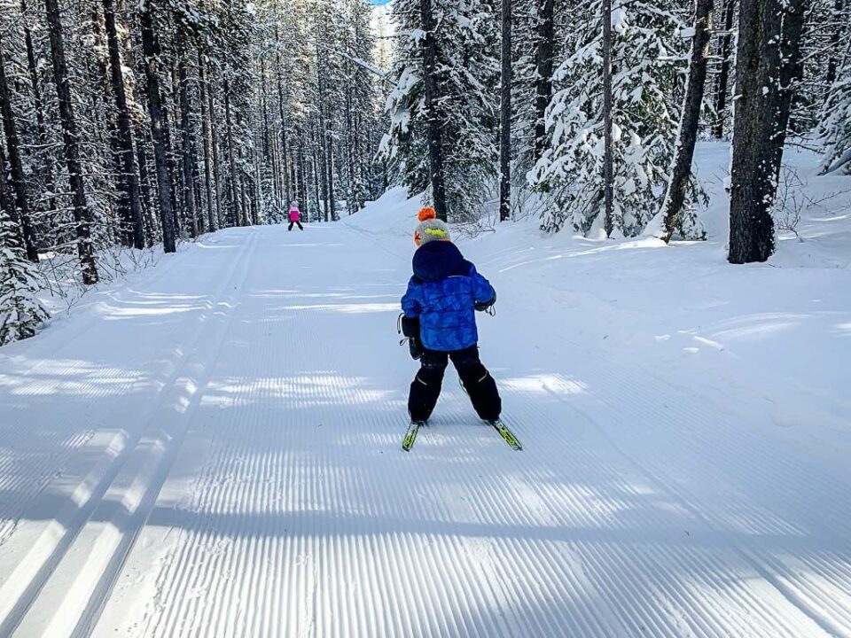 7 Easy CrossCountry Ski Trails in Banff and Area Travel Banff Canada