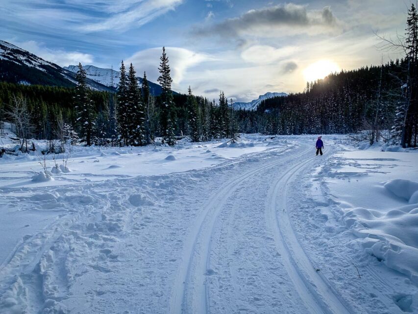 7 Easy CrossCountry Ski Trails in Banff and Area Travel Banff Canada