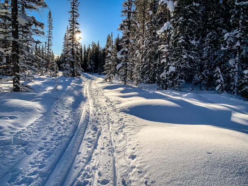 8 Easy CrossCountry Ski Trails in Banff and Area Travel Banff Canada