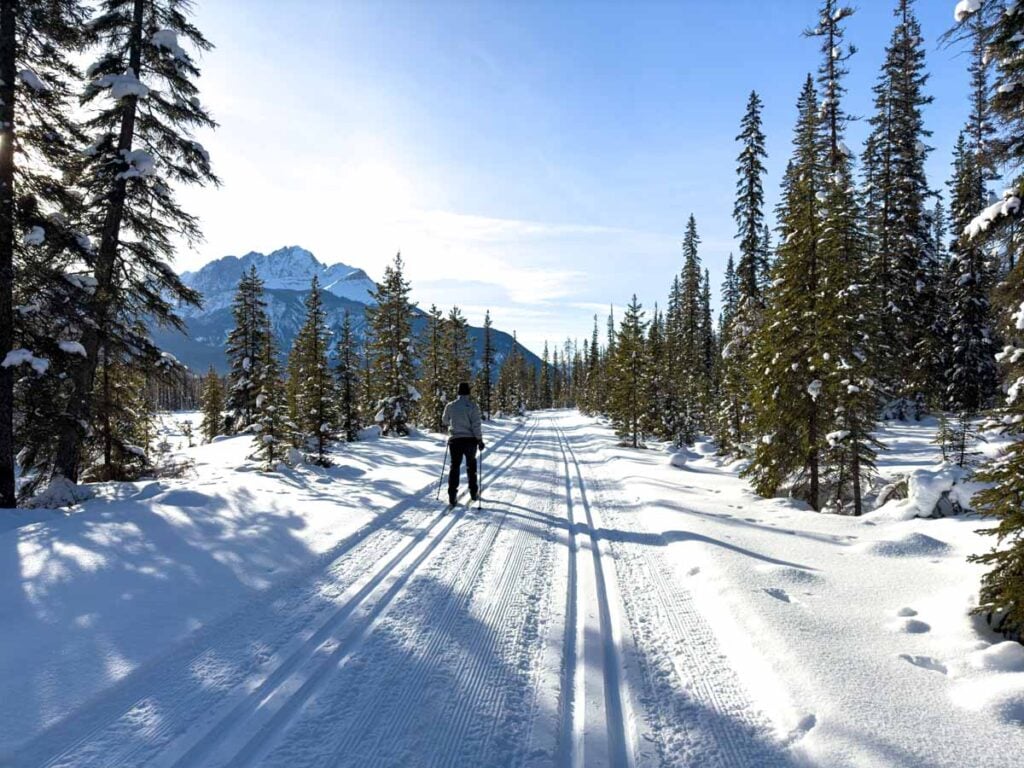 Dan Brewer, owner of TravelBanffCanada.com, skis the Kicking Horse Fire Road cross-country ski trail in Yoho National Park.