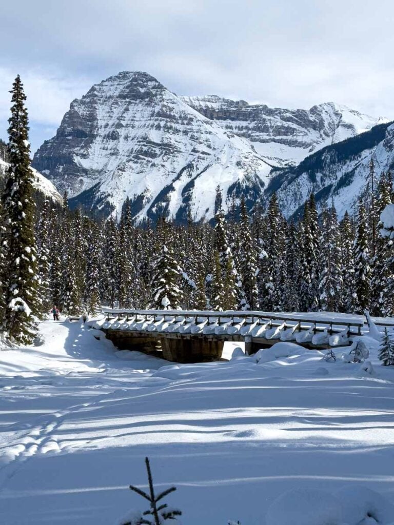 a bridge crosses the Kicking Horse Fire Road Cross Country Ski Trail in Yoho National Park.
