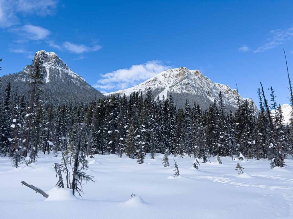 Snow capped mountains viewed from the Fairview cross-country ski trail near Lake Louise.