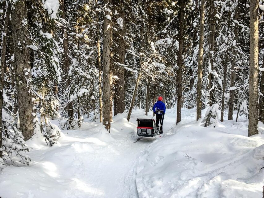 Snowshoeing in Banff Don’t Miss These 9 Snowshoe Trails Travel