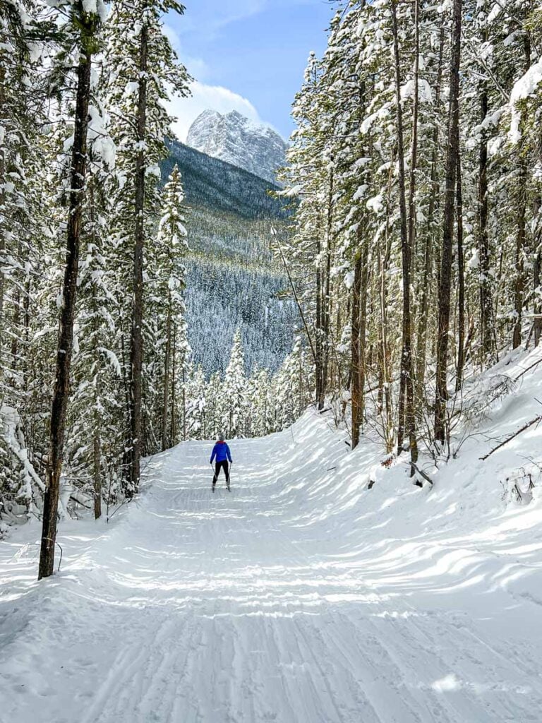 Celine Brewer, host of the Banff Travel Podcast, skis through a wintery forest towards a snow capped mountain on the Tramline Trail in Lake Louise.