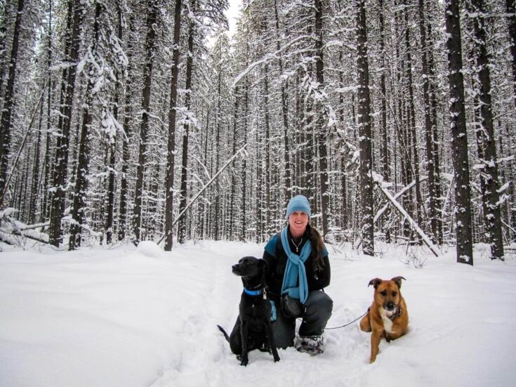 Snowshoeing in Banff Don’t Miss These 9 Snowshoe Trails Travel