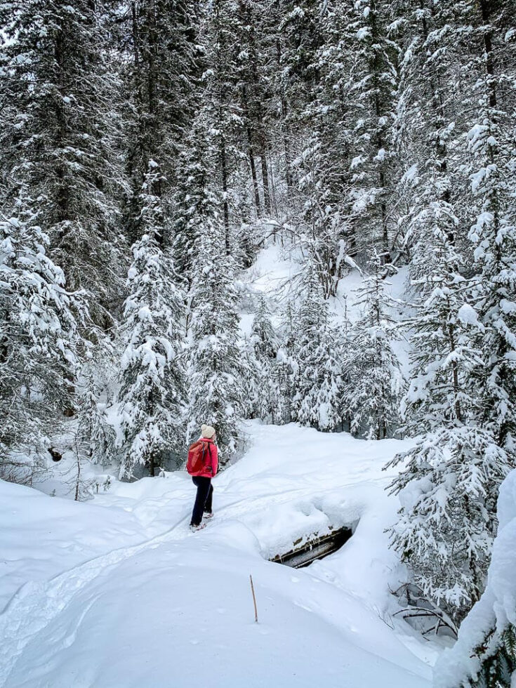 Cascade Amphitheatre Snowshoe Trail in Banff Travel Banff Canada