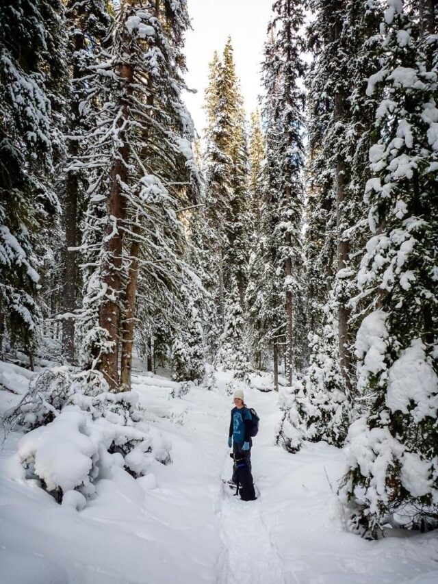 Snowshoeing in Banff Don’t Miss These 9 Snowshoe Trails Travel