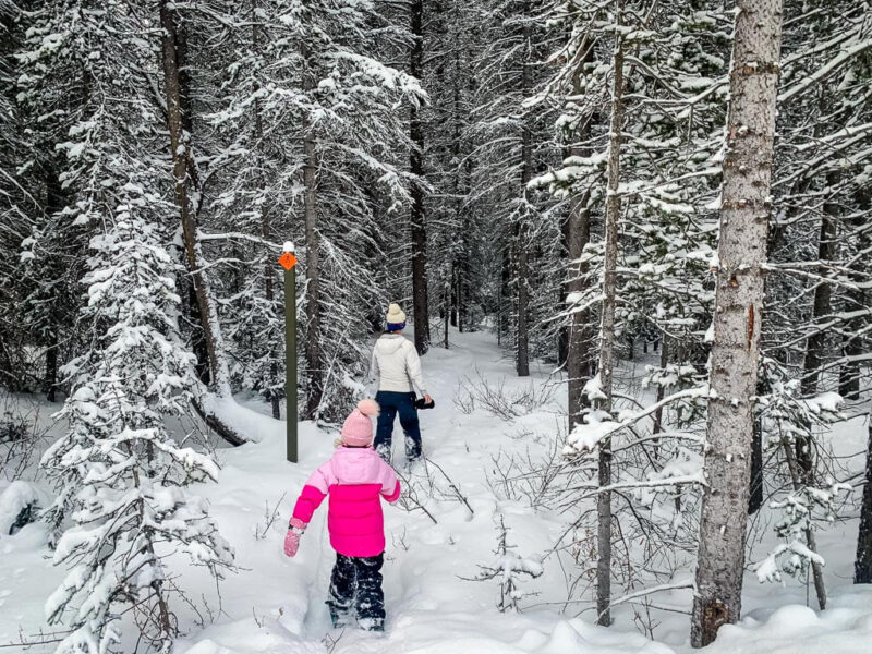 Torpor Snowshoe Trail in Kananaskis Country Travel Banff Canada