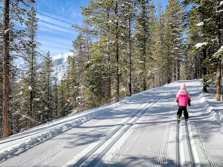 7 Easy CrossCountry Ski Trails in Banff and Area Travel Banff Canada