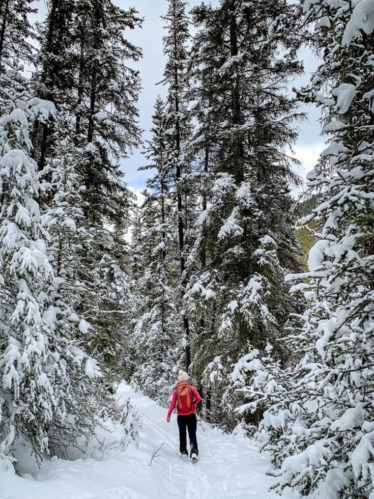 Cascade Amphitheatre Snowshoe Trail in Banff Travel Banff Canada