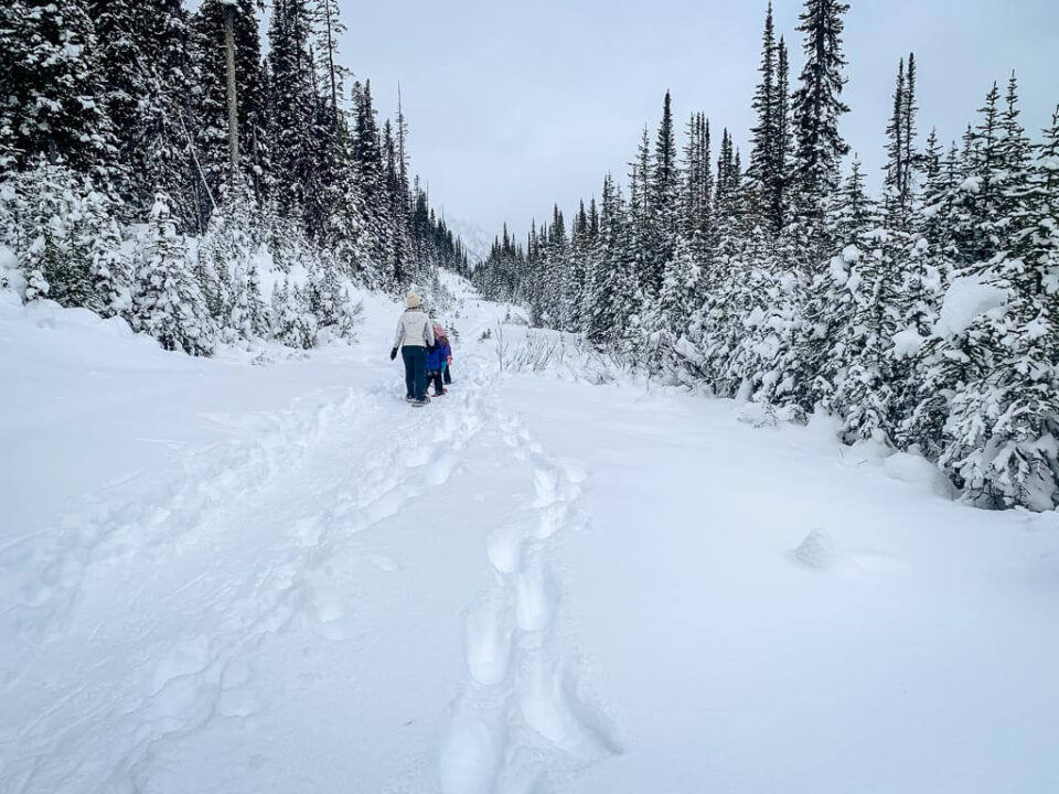 Shark Lake Snowshoe Trail in Kananaskis Country Travel Banff Canada