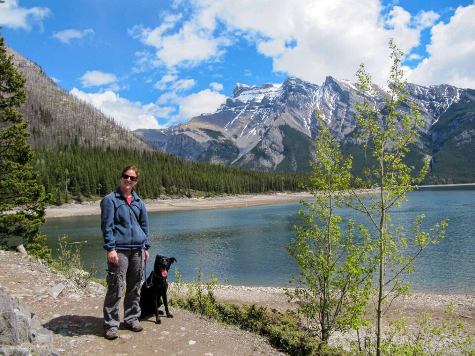 Dog Friendly Banff: Rules, Hikes & Local Tips - Travel Banff Canada