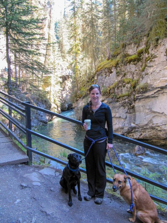 Dog Friendly Banff: Rules, Hikes & Local Tips - Travel Banff Canada