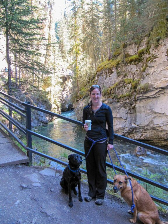 Top 5 Pet Friendly Hotels in Banff Travel Banff Canada