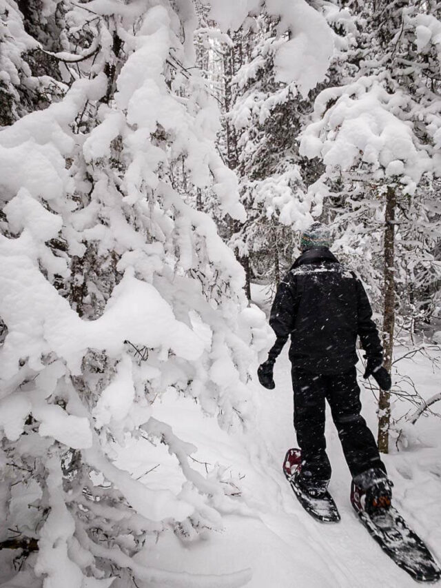 Upper Stoney Lookout Snowshoe in Banff Travel Banff Canada