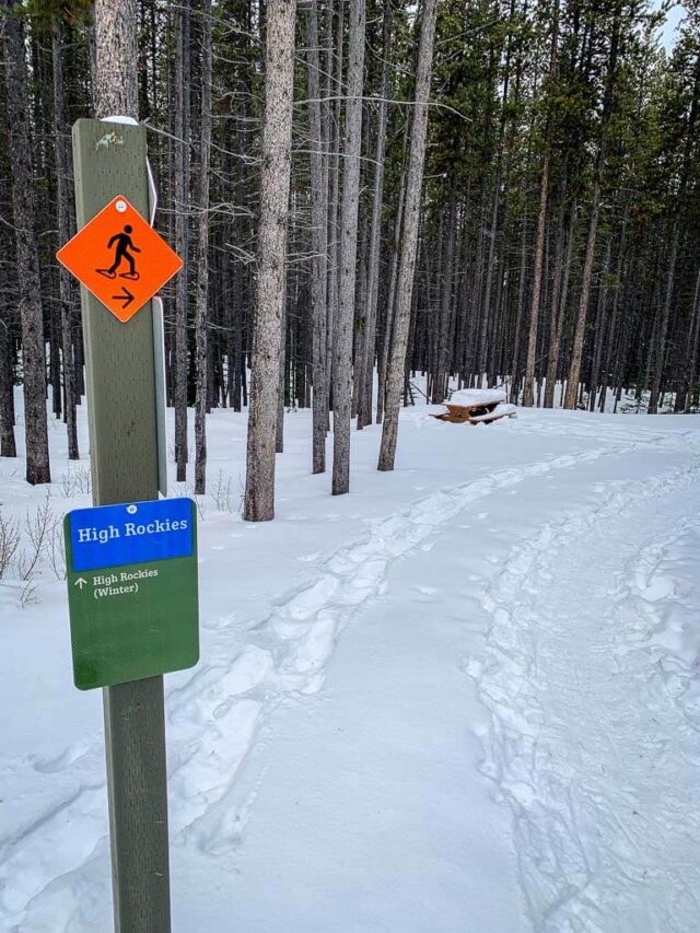 Frozen Toad Snowshoe Trail in Kananaskis Country Travel Banff Canada