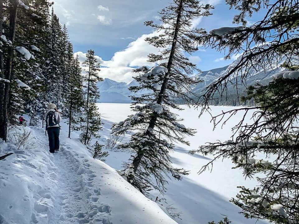 Lower Kananaskis Lake Snowshoe Trail in Kananaskis Country Travel