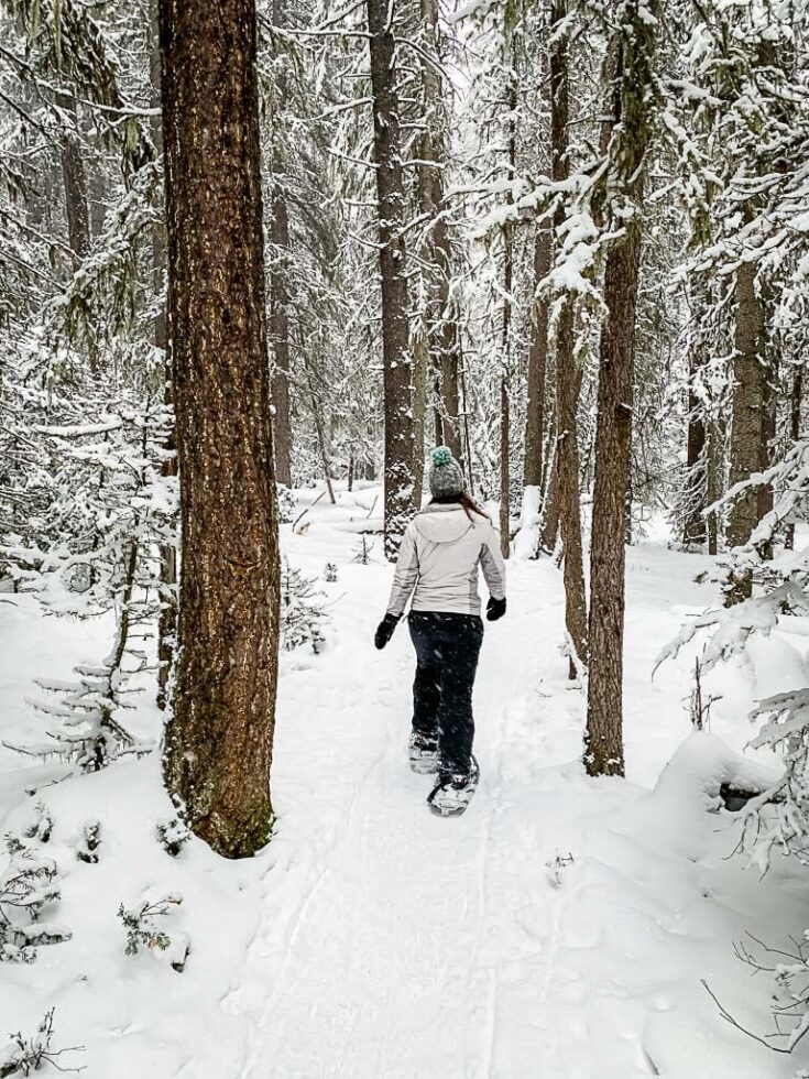 Upper Stoney Lookout Snowshoe in Banff Travel Banff Canada