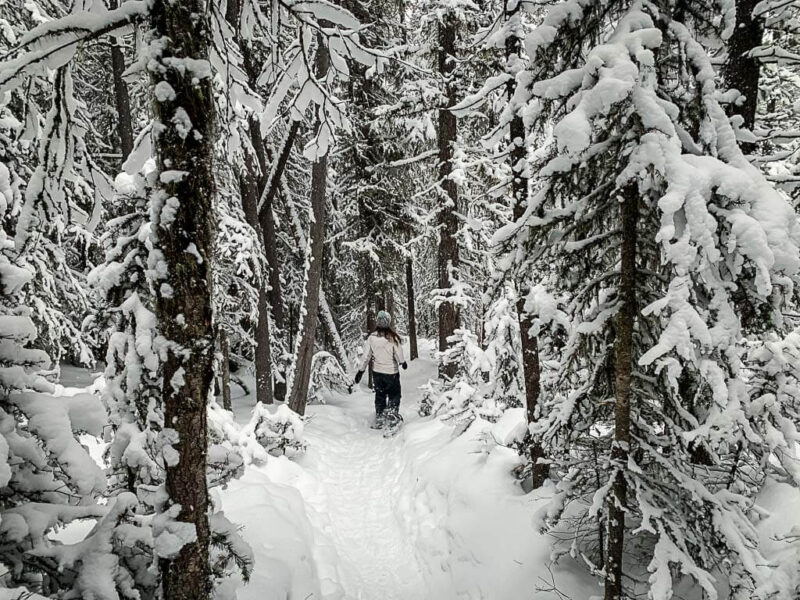 Upper Stoney Lookout Snowshoe in Banff Travel Banff Canada