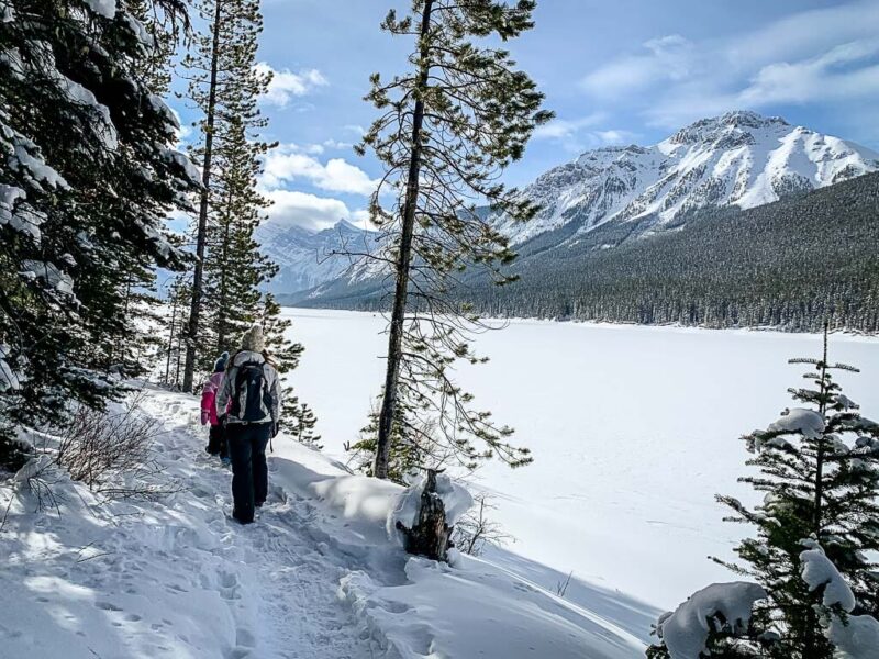 Lower Kananaskis Lake Snowshoe Trail in Kananaskis Country Travel