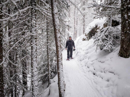 Banff in February: Weather, Things to Do & Local Tips - Travel Banff Canada