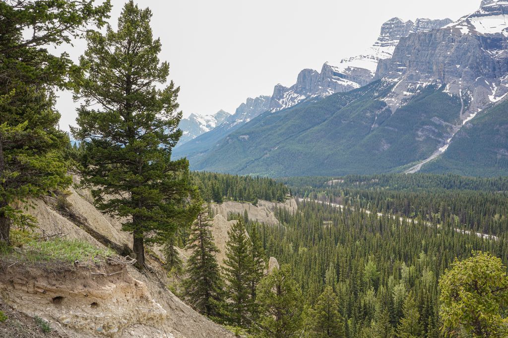 The outer loop on the Johnson Lake Trail has views of hoodoos, Mt. Rundle and the TransCanada Highway